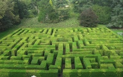 How to Anticipate and Overcome the Difficulties of Co-parenting