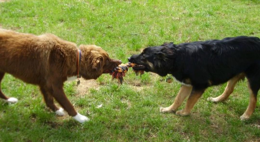 Negotiating? Know Your BATNA and WATNA or Understand the Consequences